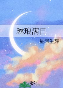 《琳琅满目》