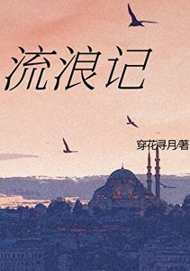 《流浪记》