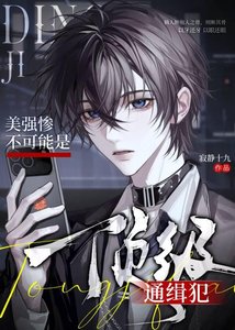 《美强惨不可能是顶级通缉犯》