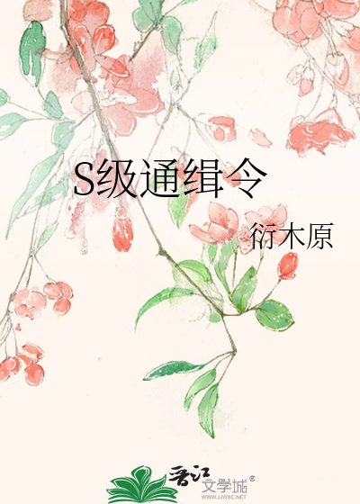 《S级通缉令》