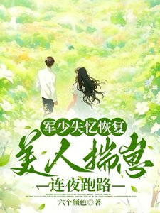 军少失忆恢复，美人揣崽连夜跑路/六零藏区遇前任，失忆首长争又抢