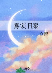《雾锁旧案》