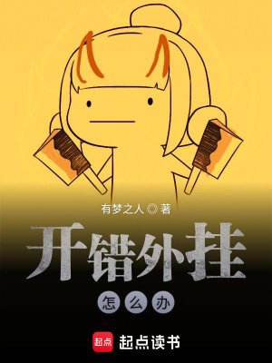 《开错外挂怎么办》