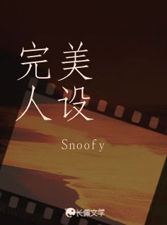 完美人设