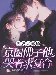 《虐妻火葬场,京圈佛子他哭着求复合!》