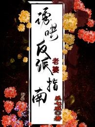 《诱哄反派老婆指南》