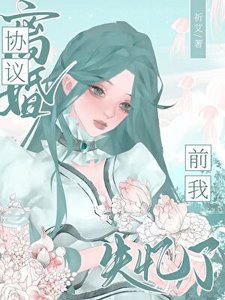 《协议离婚前我失忆了》