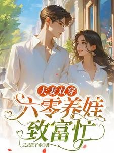 《夫妻双穿:六零养娃致富忙》