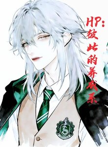 《HP:彼此的养成系》