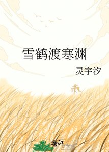 《雪鹤渡寒渊》