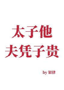 《太子他夫凭子贵》