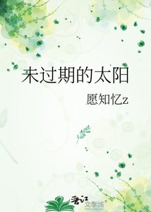 《未过期的太阳》