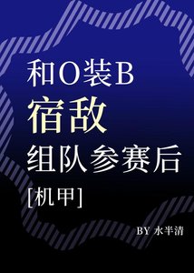 《和o装b宿敌组队参赛后》