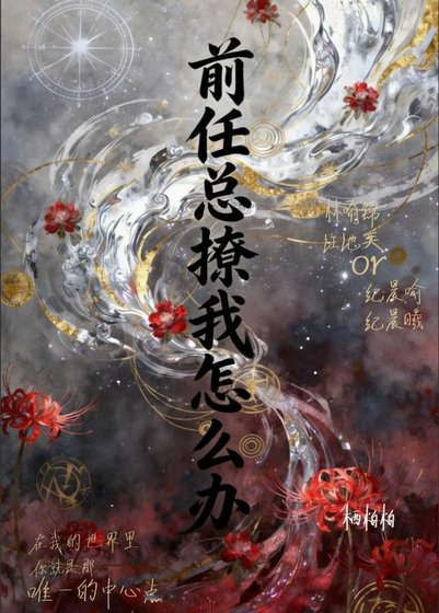 前任总撩我怎么办