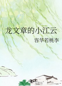 《龙文章的小江云》