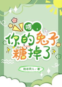 《喂,你的兔子糖掉了》