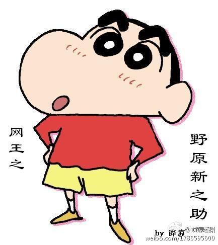 《(BL/网王同人)野原新之助》