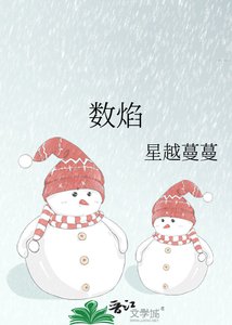 《数焰》