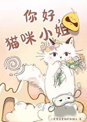 《你好,猫咪小姐》