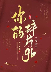 《你的碎片gb》