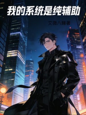我的系统是纯辅助