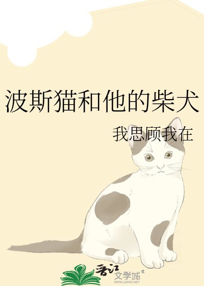 《波斯猫和他的柴犬》