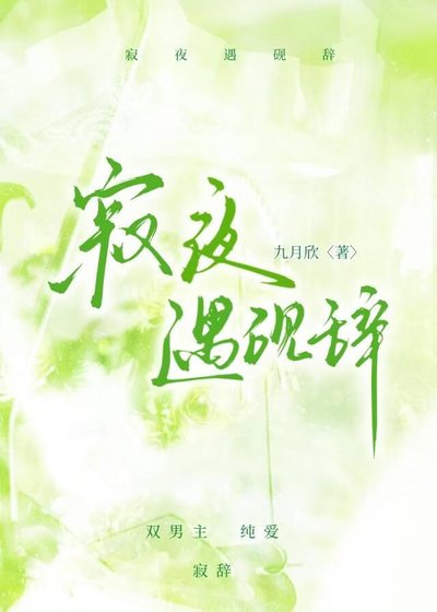 《寂夜遇砚辞》