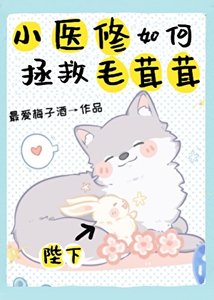 《小医修如何拯救毛茸茸》