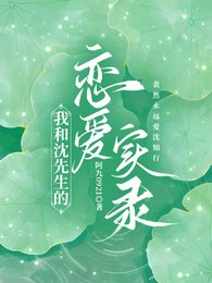 《我和沈先生的恋爱实录》