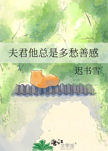 《夫君他总是多愁善感》