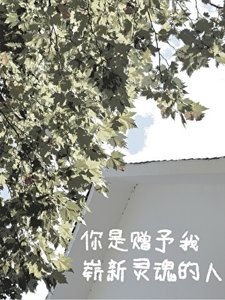 《你是赠予我崭新灵混的人》