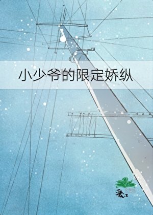 小少爷的限定娇纵