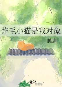 《炸毛小猫是我对象》