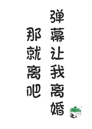 弹幕让我离婚，那就离吧