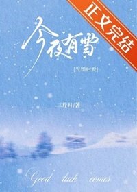 今夜有雪[先婚后爱]