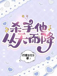《杀手他从天而降》