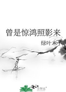 《曾是惊鸿照影来》