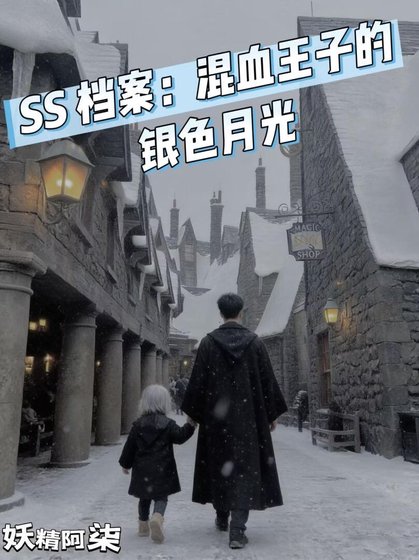 《SS档案:混血王子的银色月光》