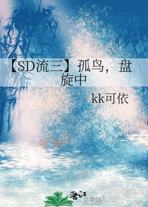《【SD流三】孤鸟,盘旋中》