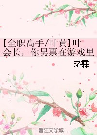 《(BL/全职高手同人)叶会长,你男票在游戏里被一叶之秋那个不要脸的男人拐走啦!!》