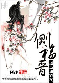 （BG/综清穿同人）[综清穿]侧福晋