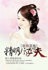 《欢田喜地:精明娘子V5夫》