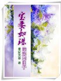 《宝妻如珠的悠闲日子》
