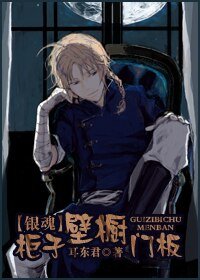 （BG/银魂同人）柜子壁橱门板