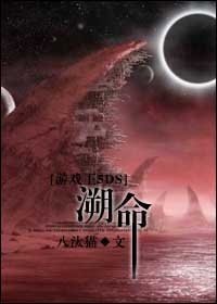 《(游戏王同人)溯命》