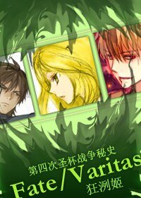 （Fate/zero同人）Fate/Varitas