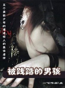 《被践踏的男孩》
