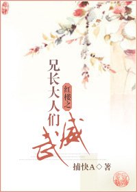 （红楼同人）红楼之兄长大人们威武