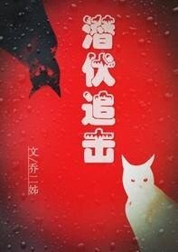 《潜伏追击》