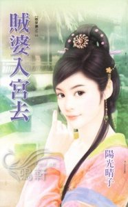 《贼婆入宫去(贼保镖之二)》